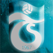 Trabzonspor logo