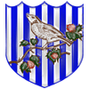 West Bromwich Albion new