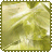 Yellow Abstract