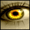 Yellow Eye