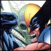 Wolverine2