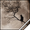 Halloween avatar 45