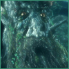Tree Beard