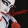 Siouxsies rose