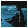 Tarja