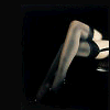 Legs