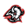 Buffalo Sabres Logo