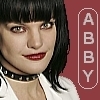 Abby collared