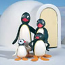 Pingu Family Igloo