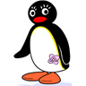 Pingu Lady