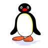 Pingu White