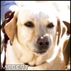 Vincent