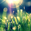 Solar flare