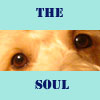 The soul