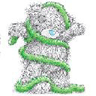 Tinsel Bear