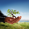Tree on hands