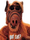 ALF