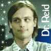 Dr Reid