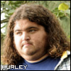 Hurley In Foliage