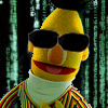 Matrix Bert