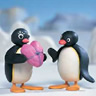 Pingu Valentine Gift