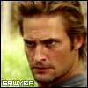 Sawyer The Peoples Eyebrow
