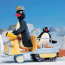 Snow Vehicle