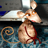 The Mouse