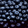 Blueberries