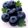 Blueberries2