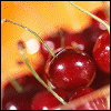 Cherries3