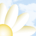 Daisy and clouds