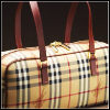 Designer Handbag3