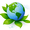 Earth with leaves