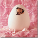 Egg baby
