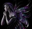 Fairy purple