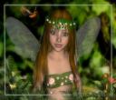 Fairy
