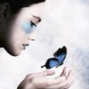 Free a butterfly