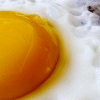 Fried Egg