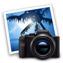 Holiday photos