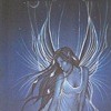 Night Faerie