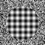 Optical illusion