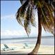 Paradise Beach