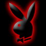 Playboy rabbit