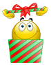 christmas smiley 038