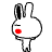 rabbit 1 smiley 042