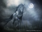 3d wallpaper 067