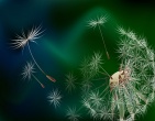 3d wallpaper 158