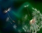 3d wallpaper 160