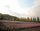 3d wallpaper 208